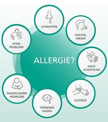 Pari-Test: Allergie, Zeichnung